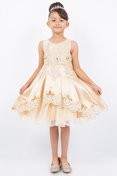 Girls Floral Embroidery Cutout Overlay Flower Girl Dress 2-16